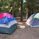 Review photo of Watkins Glen State Park Campground by Rachel P., May 28, 2018