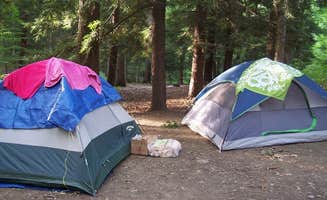 Rachel P.'s photo at Watkins Glen State Park Campground near Hector, NY