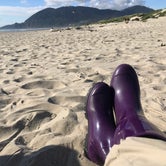 Review photo of Nehalem Bay State Park Campground by Jill T., August 10, 2018