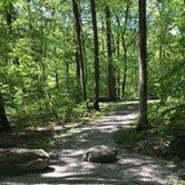 Review photo of Mahlon Dickerson Reservation by Christina L., August 10, 2018