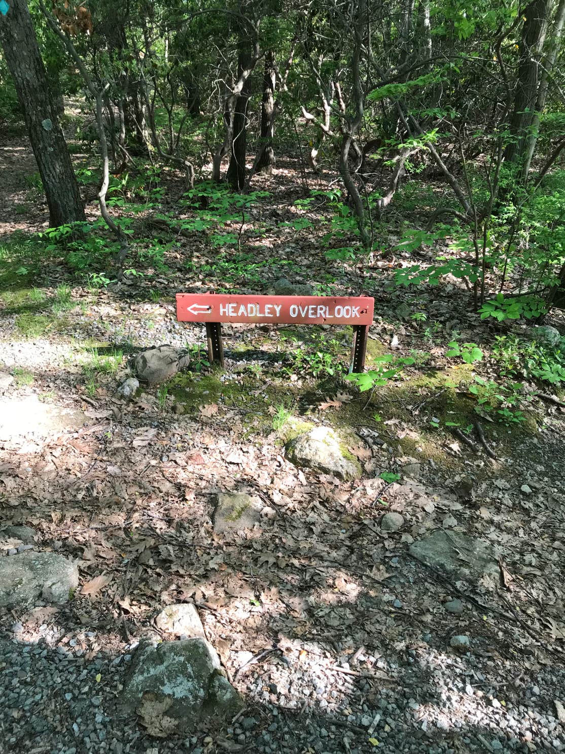 Mahlon Dickerson Reservation Camping The Dyrt