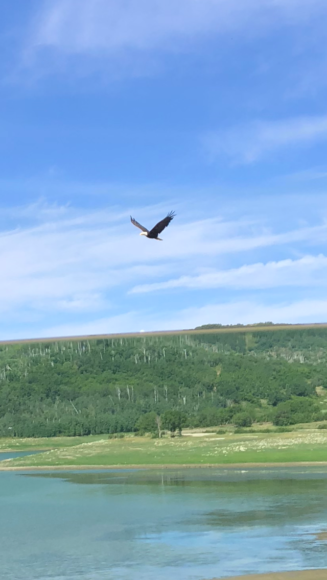 Camper-submitted photo at Kolob Resevoir near Kanarraville, UT