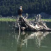 Review photo of Swan Lake Campground by Carla S., July 30, 2016