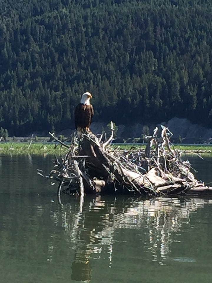 Camper submitted image from Swan Lake Campground - 5