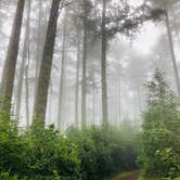 Review photo of Sky Campground — Point Reyes National Seashore by Jeremy S., August 10, 2018