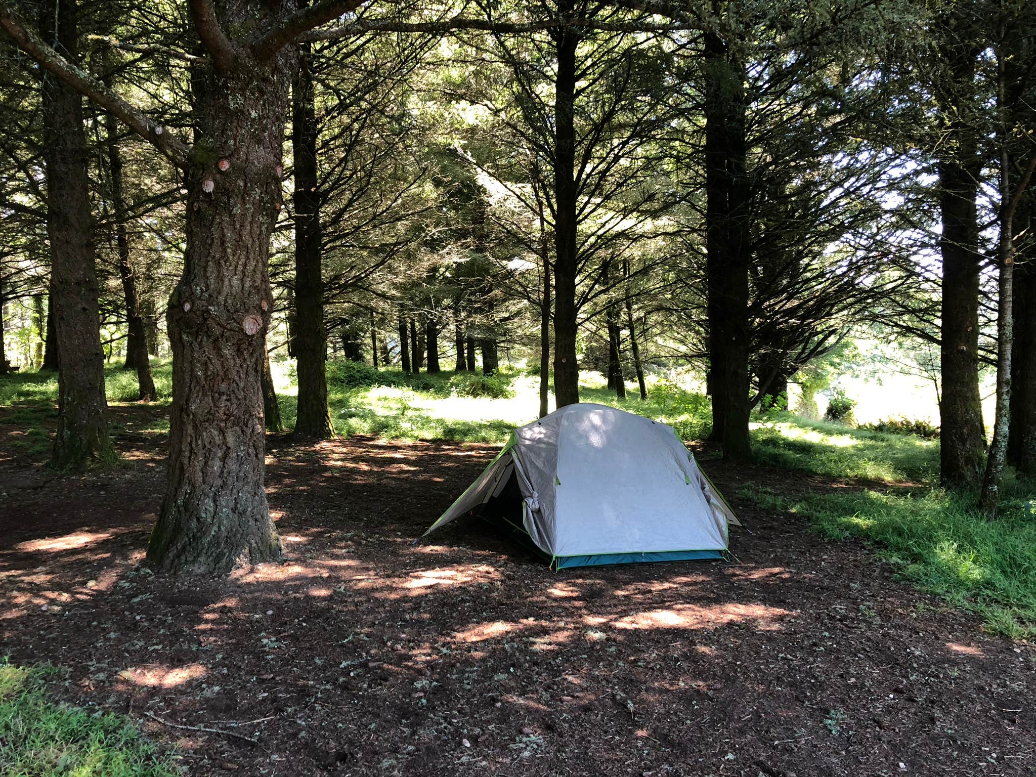 Jeremy S.'s photo of tent camping at Sky Campground — Point Reyes National Seashore near Larkspur, CA