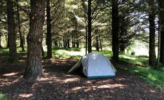 Jeremy S.'s photo at Sky Campground — Point Reyes National Seashore near Marshall, CA