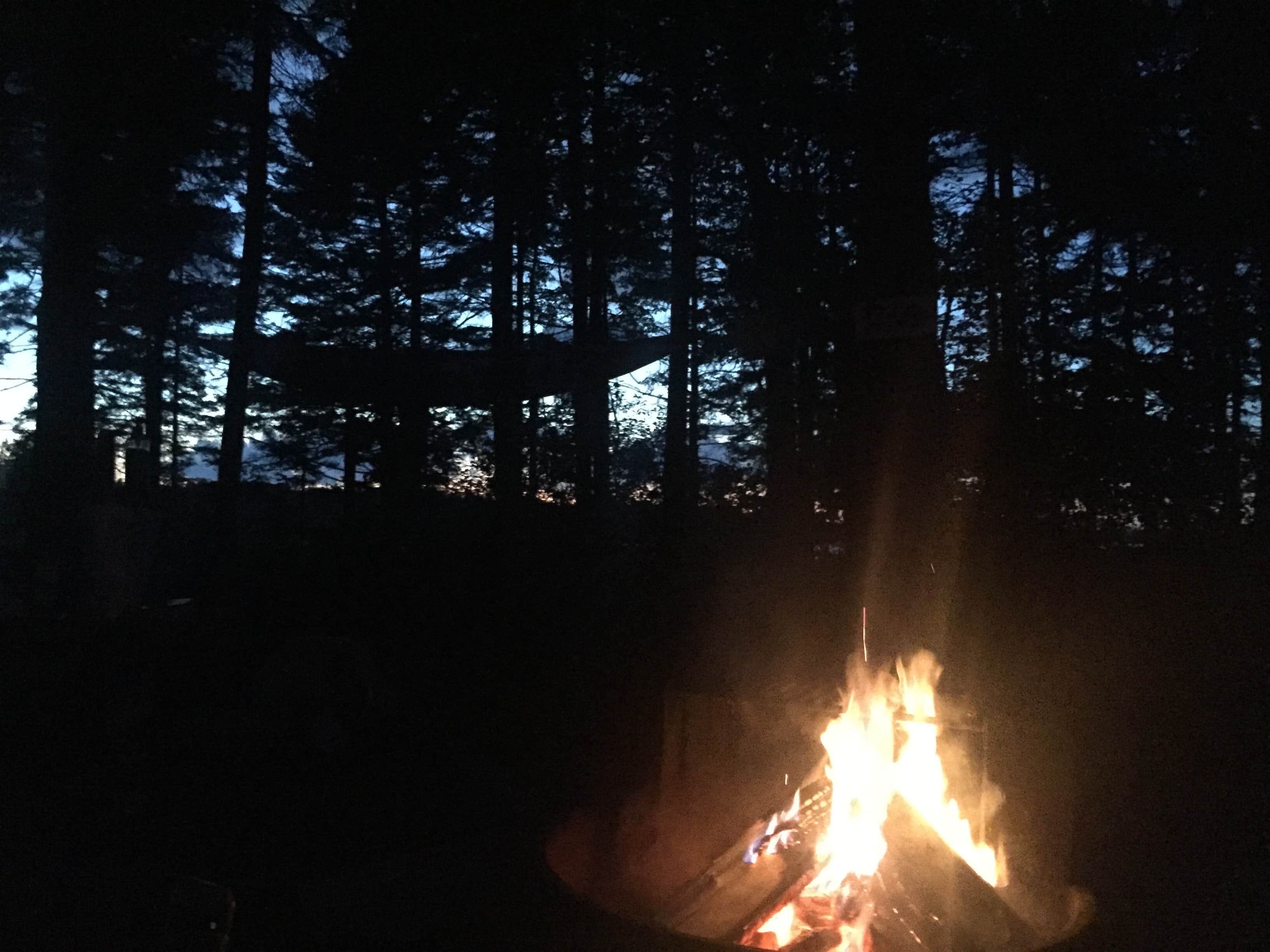 Lena L.'s photo at Mount Desert Campground in Maine