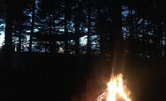 Lena L.'s photo at Mount Desert Campground in Maine
