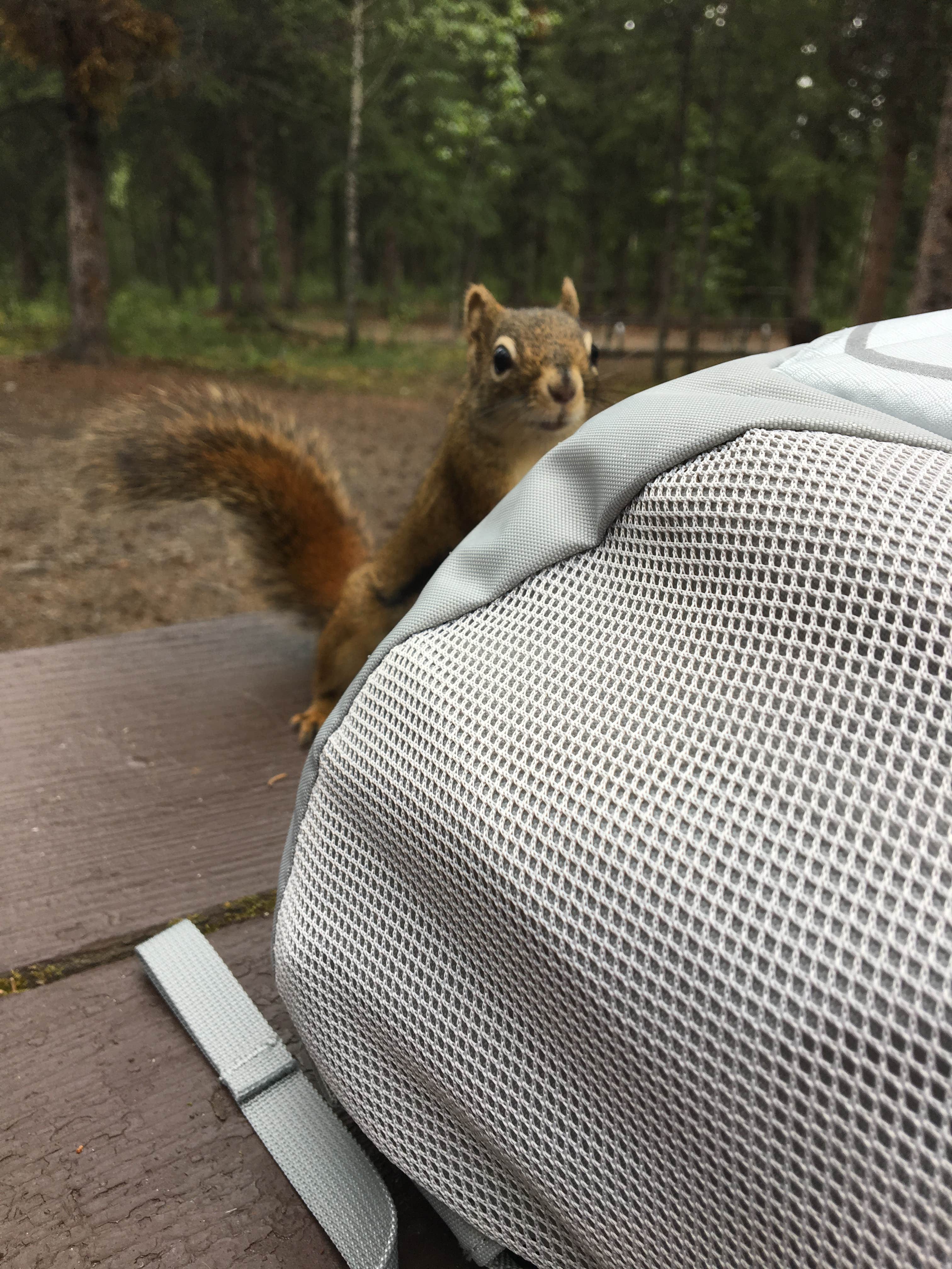 Riley Creek Campground — Denali National Park