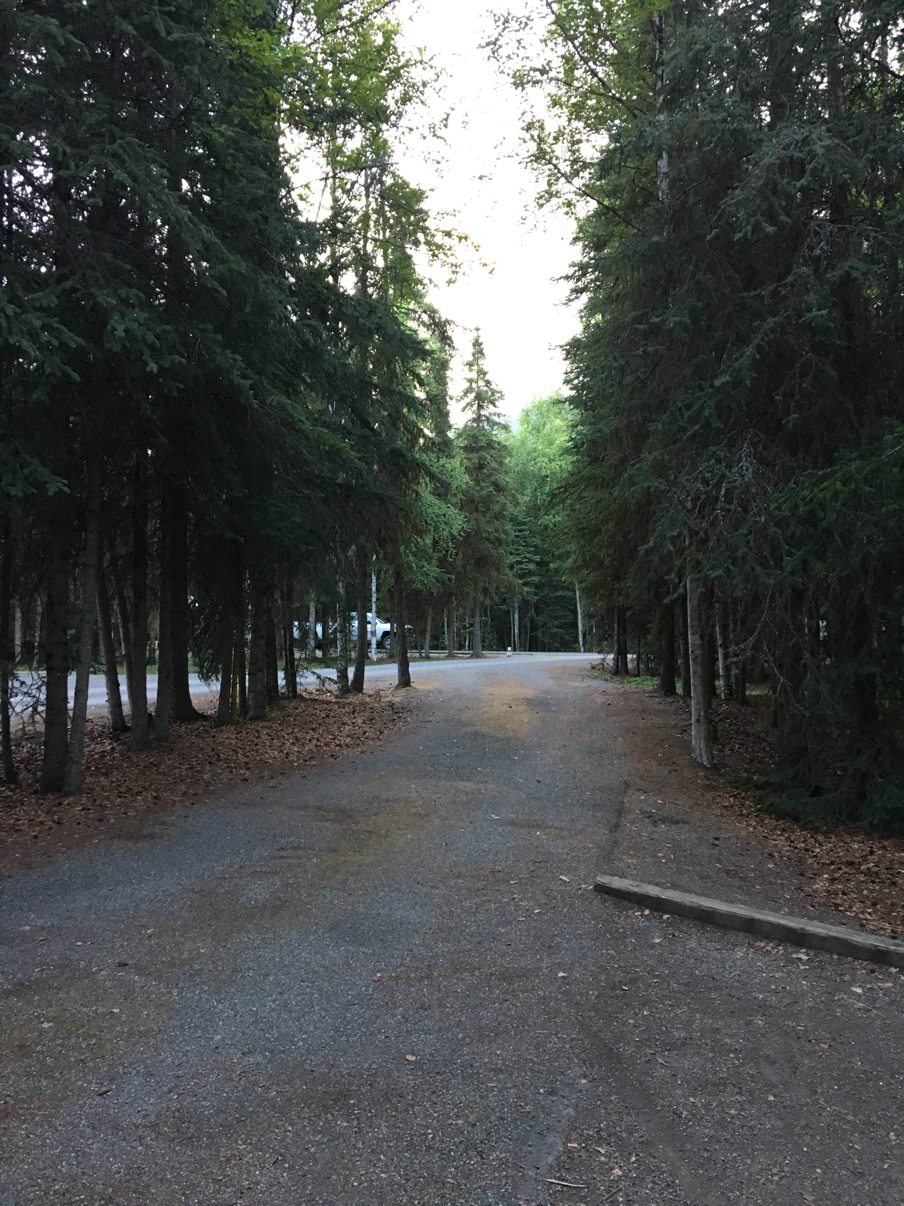 Large Pull through site