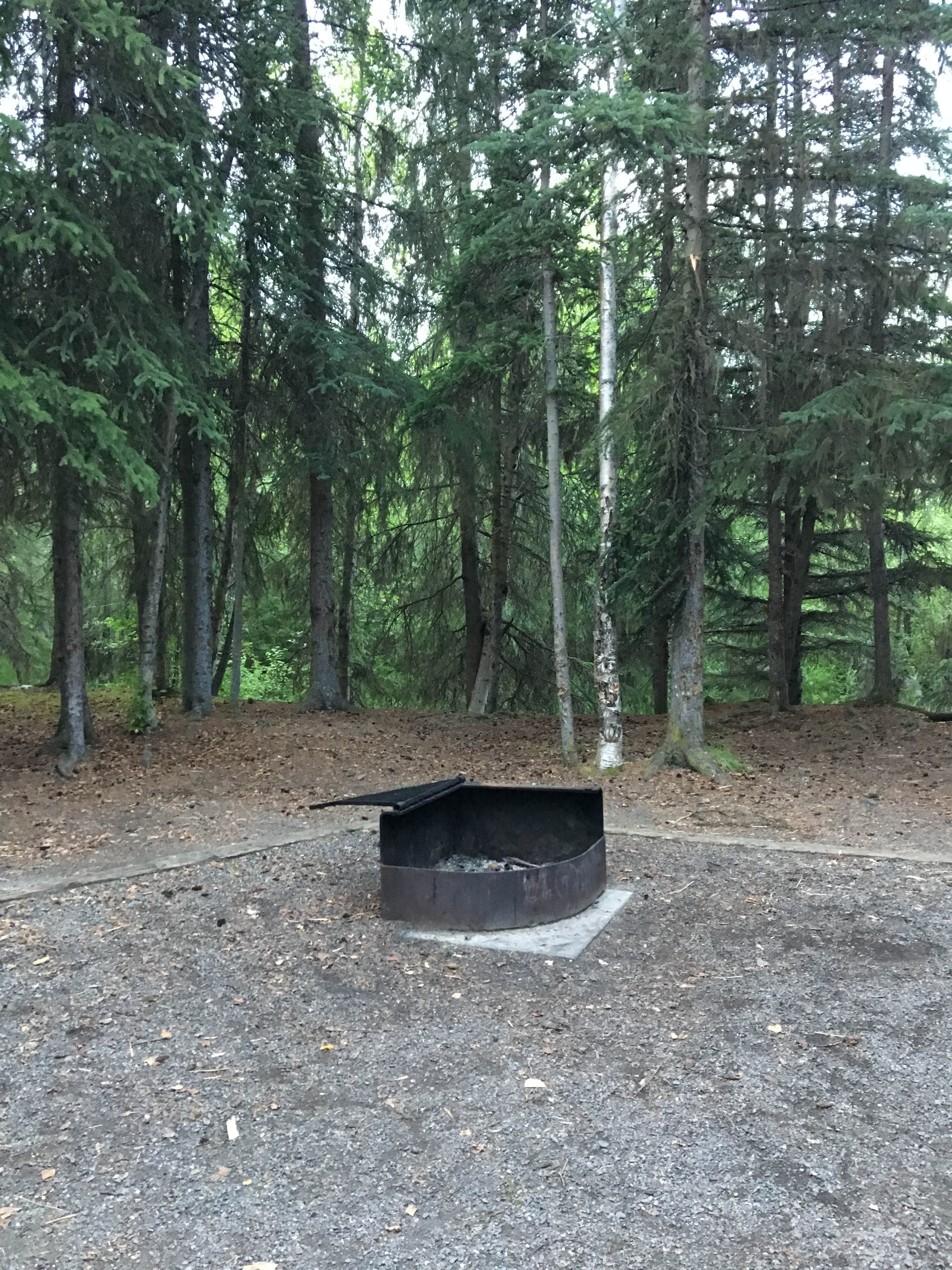 Quartz Creek Campground The Dyrt