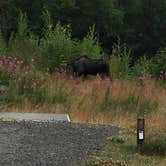 Review photo of Bird Creek Campground - Chugach State Park by Mari R., August 10, 2018