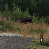 Review photo of Bird Creek Campground - Chugach State Park by Mari R., August 10, 2018