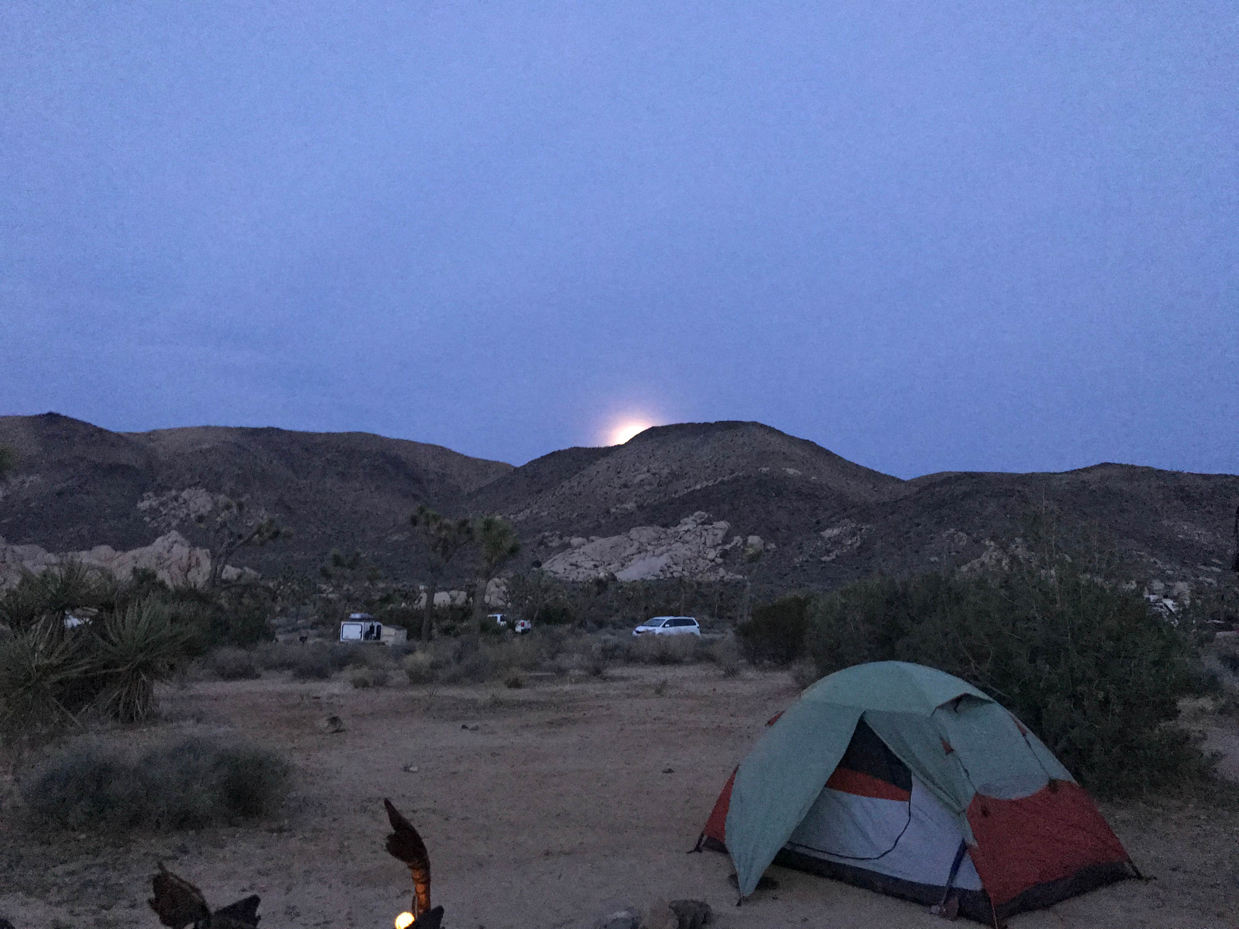 Jenn C.'s photo at Joshua Tree Campground near Twentynine Palms, CA