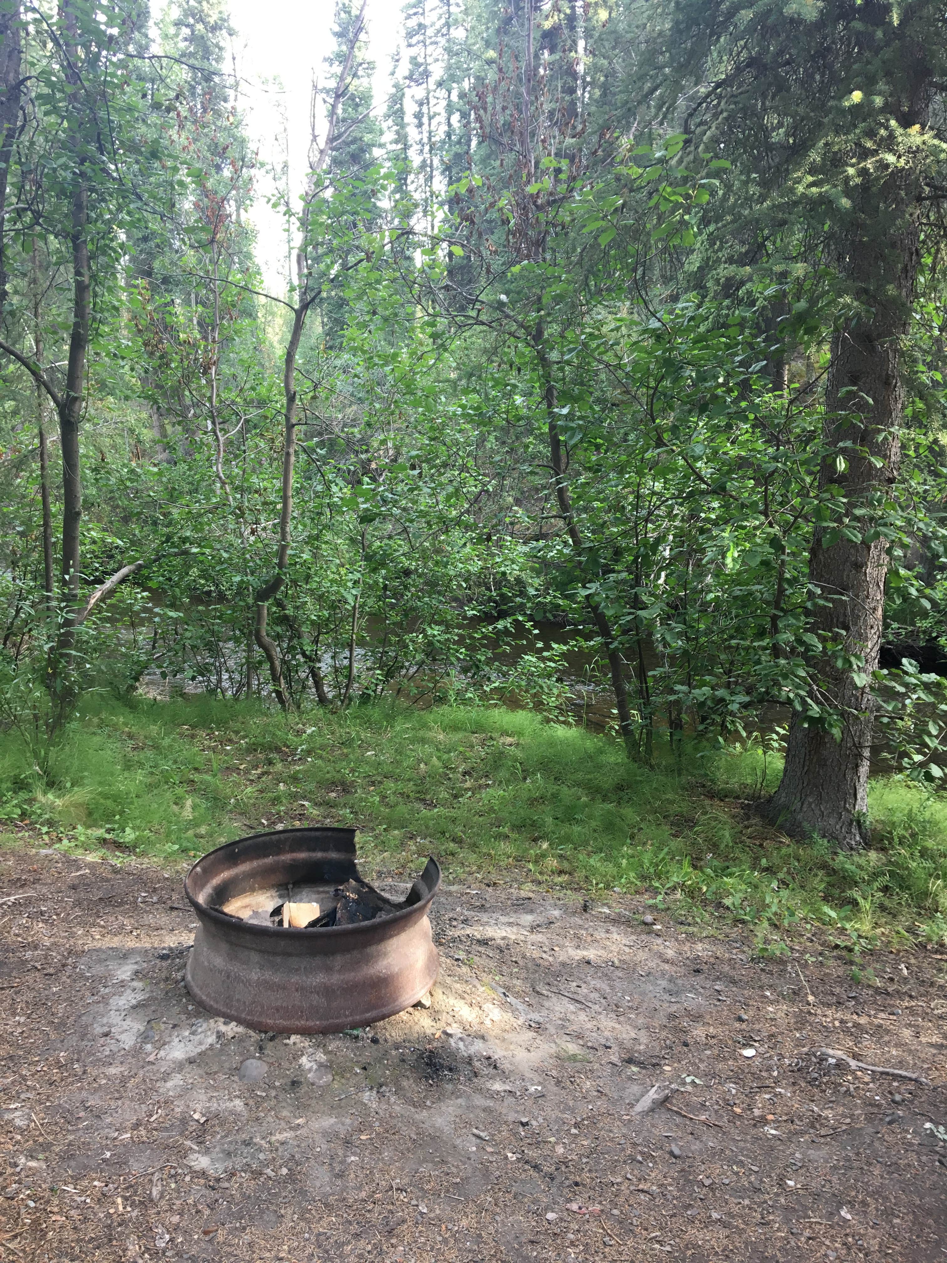 Camper-submitted photo at Tolsona Wilderness Campground near Gakona, AK