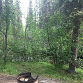 Review photo of Tolsona Wilderness Campground  by Mari R., August 10, 2018