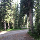 Review photo of Tolsona Wilderness Campground  by Mari R., August 10, 2018