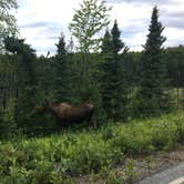 Review photo of South Rolly Lake Campground by Mari R., August 10, 2018