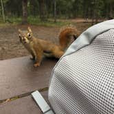 Review photo of Riley Creek Campground — Denali National Park by Mari R., August 10, 2018