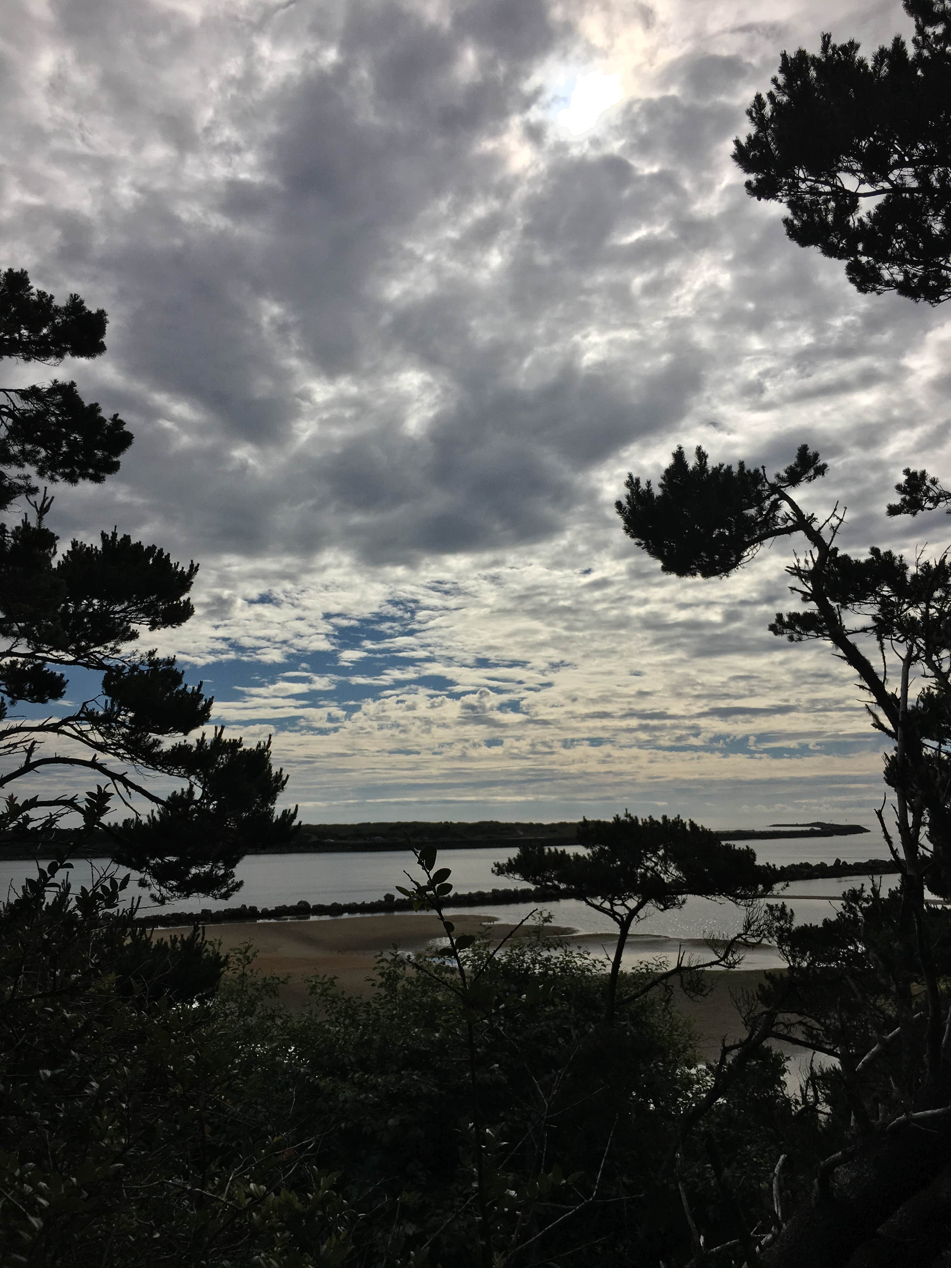 Camper-submitted photo at Harbor Vista Campground near Florence, OR