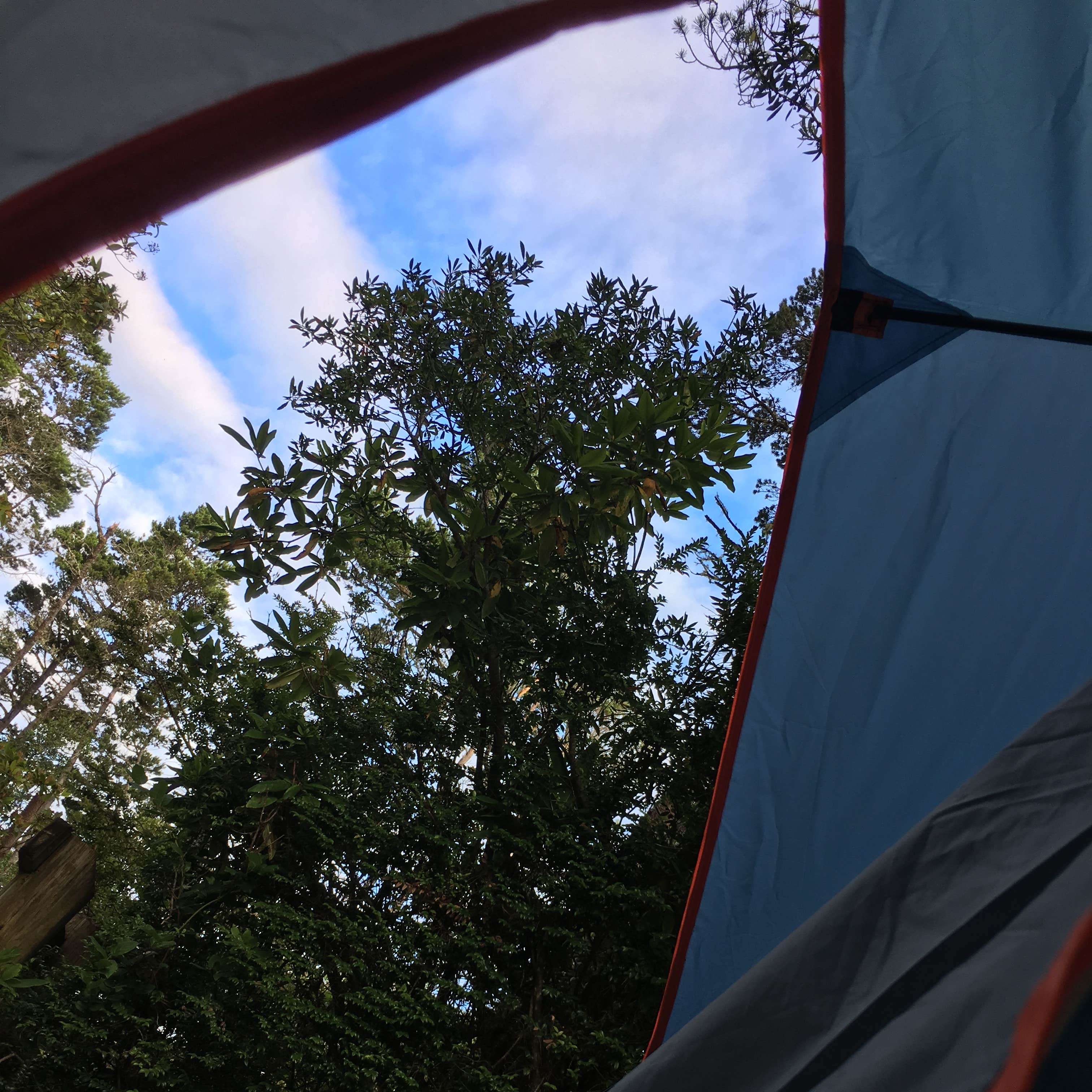 Harbor Vista Campground Camping The Dyrt