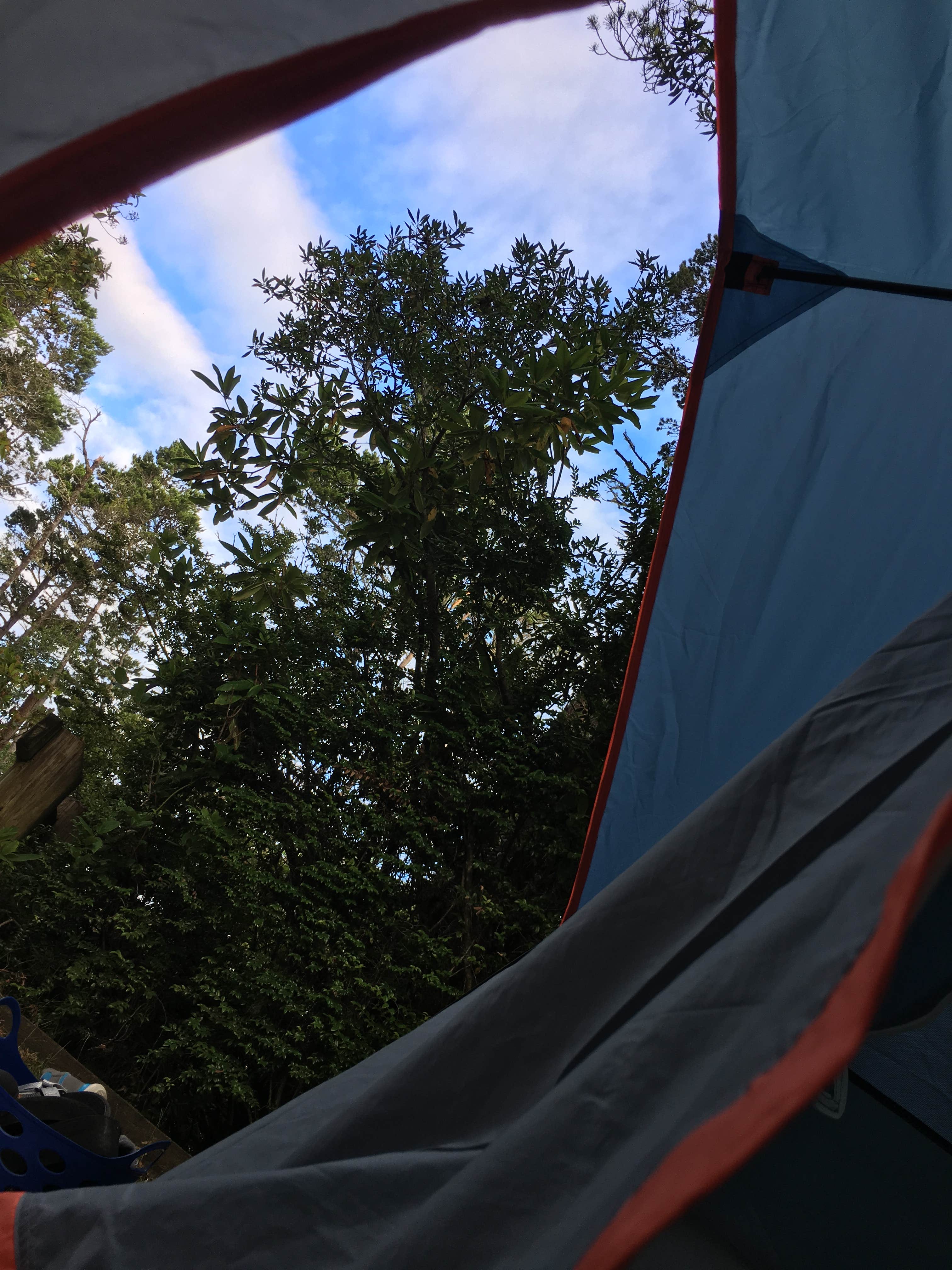 Camper submitted image from Harbor Vista Campground - 2