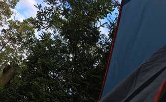 Cassie M.'s photo at Harbor Vista Campground near Mapleton, OR