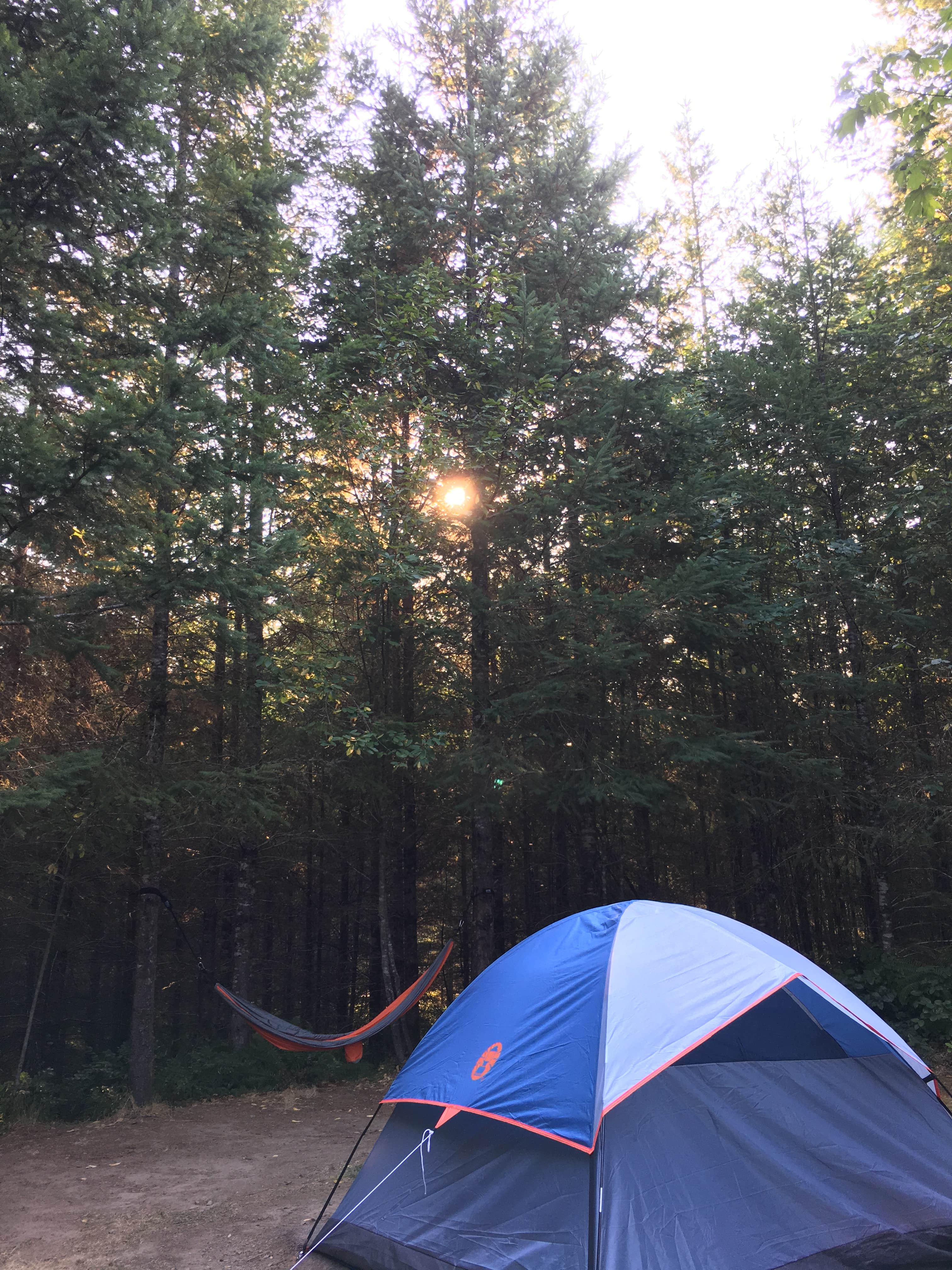 Camper submitted image from River Bend County Park - 3
