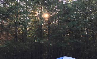 Cassie M.'s photo at River Bend County Park in Oregon