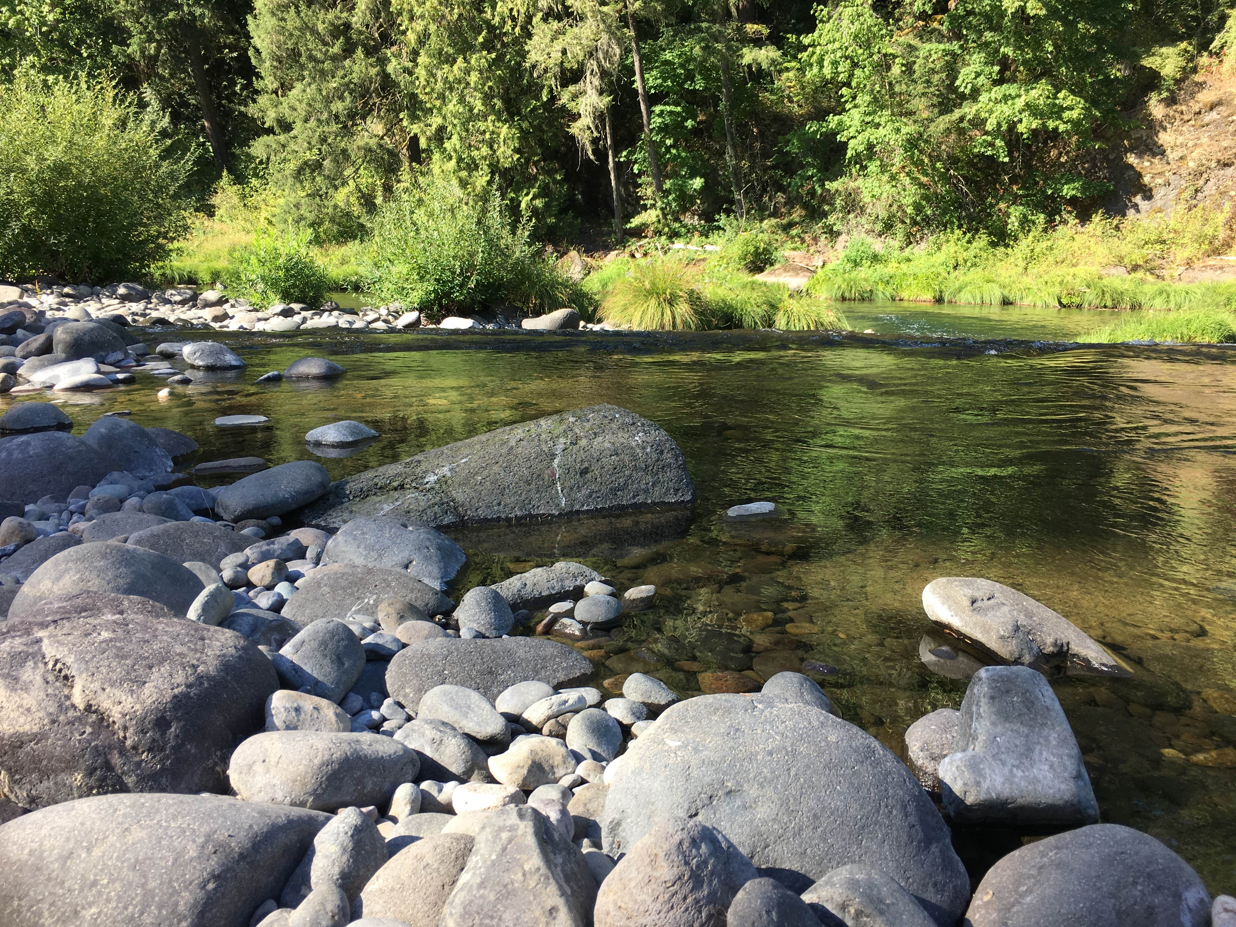 Camper submitted image from River Bend County Park - 3