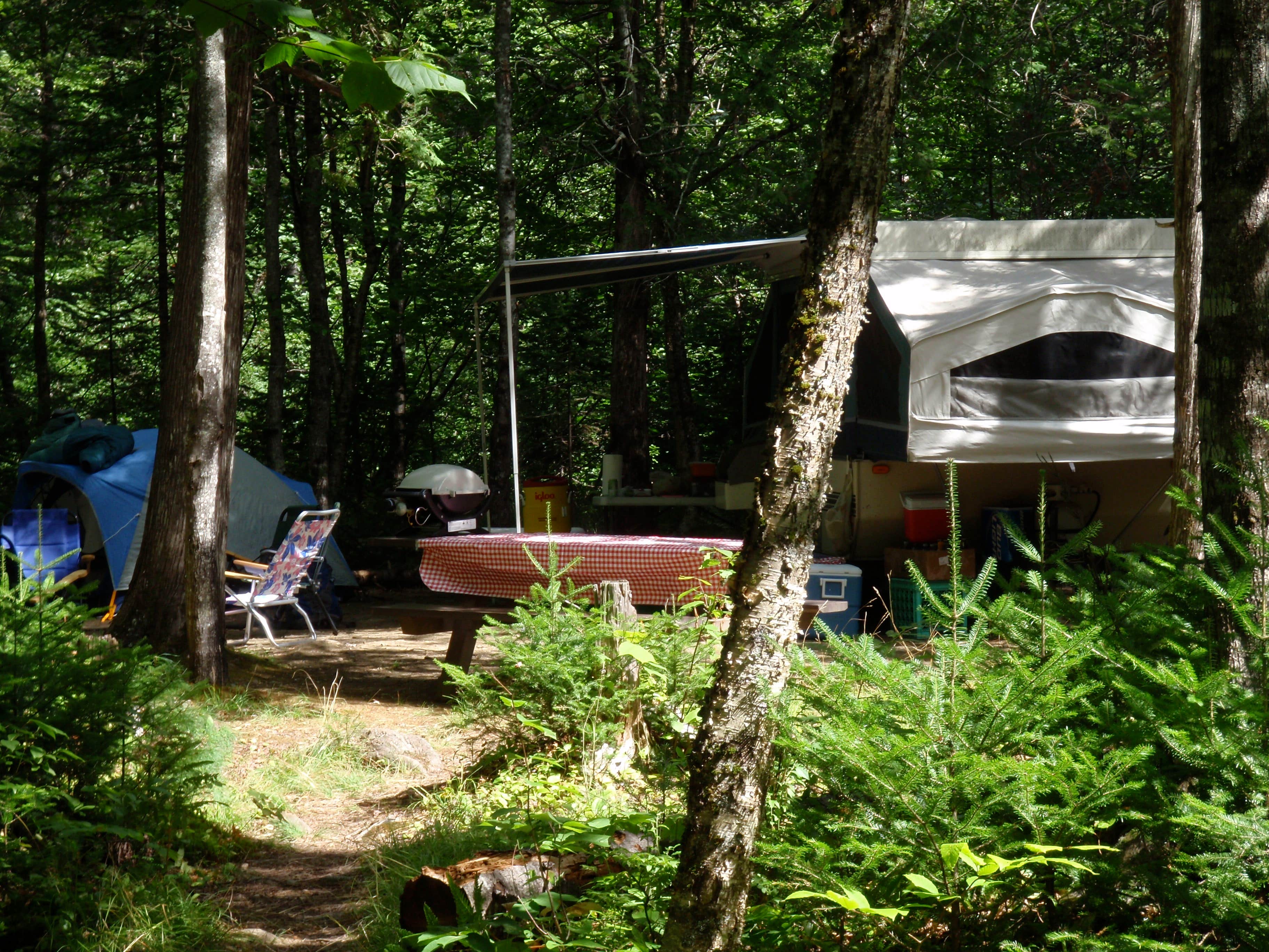 Gary G.'s photo at Mount Blue State Park Campground in Maine