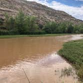 Review photo of Thousand Trails Verde Valley by Fawn C., August 10, 2018