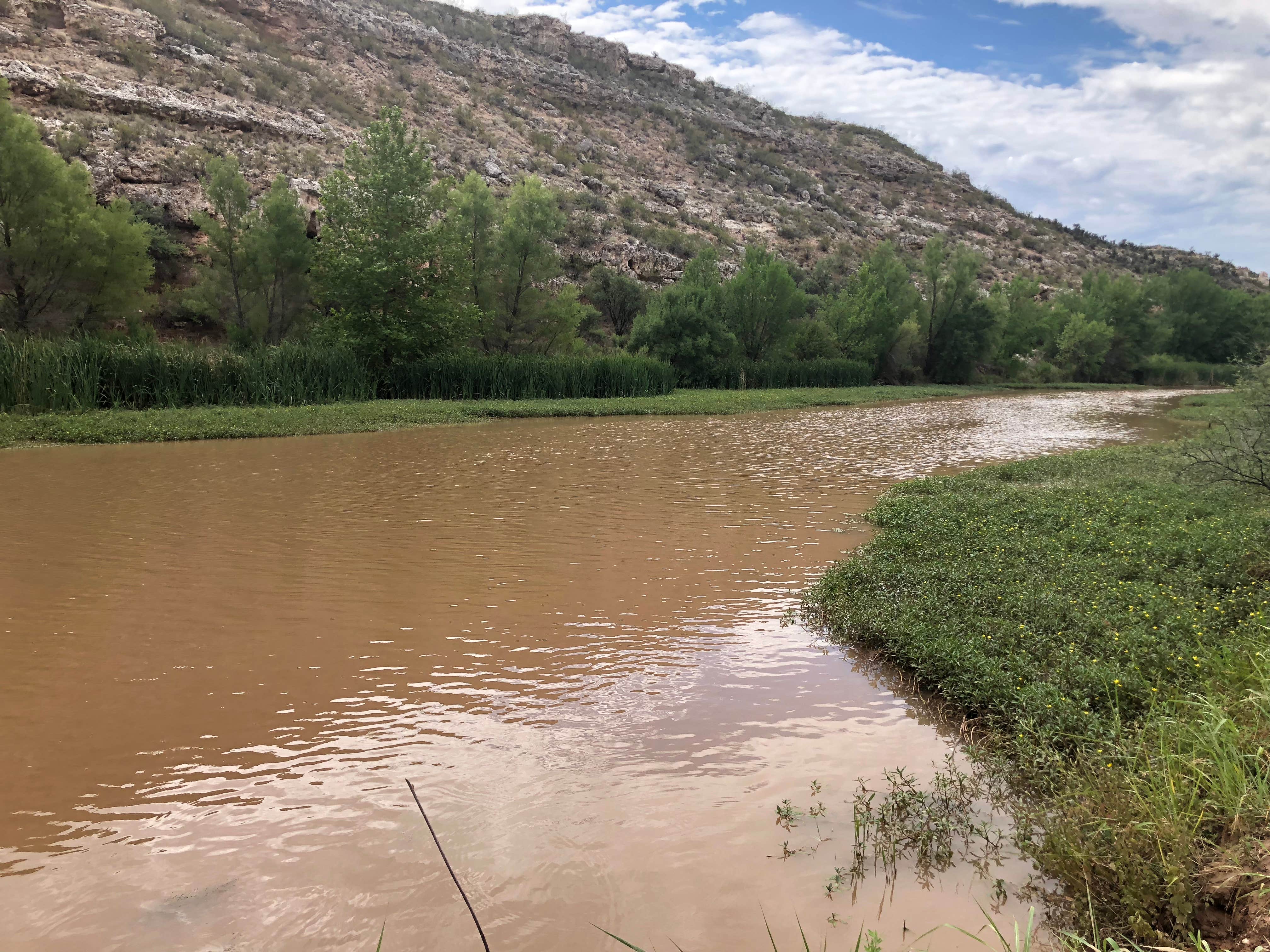 Camper submitted image from Thousand Trails Verde Valley - 2