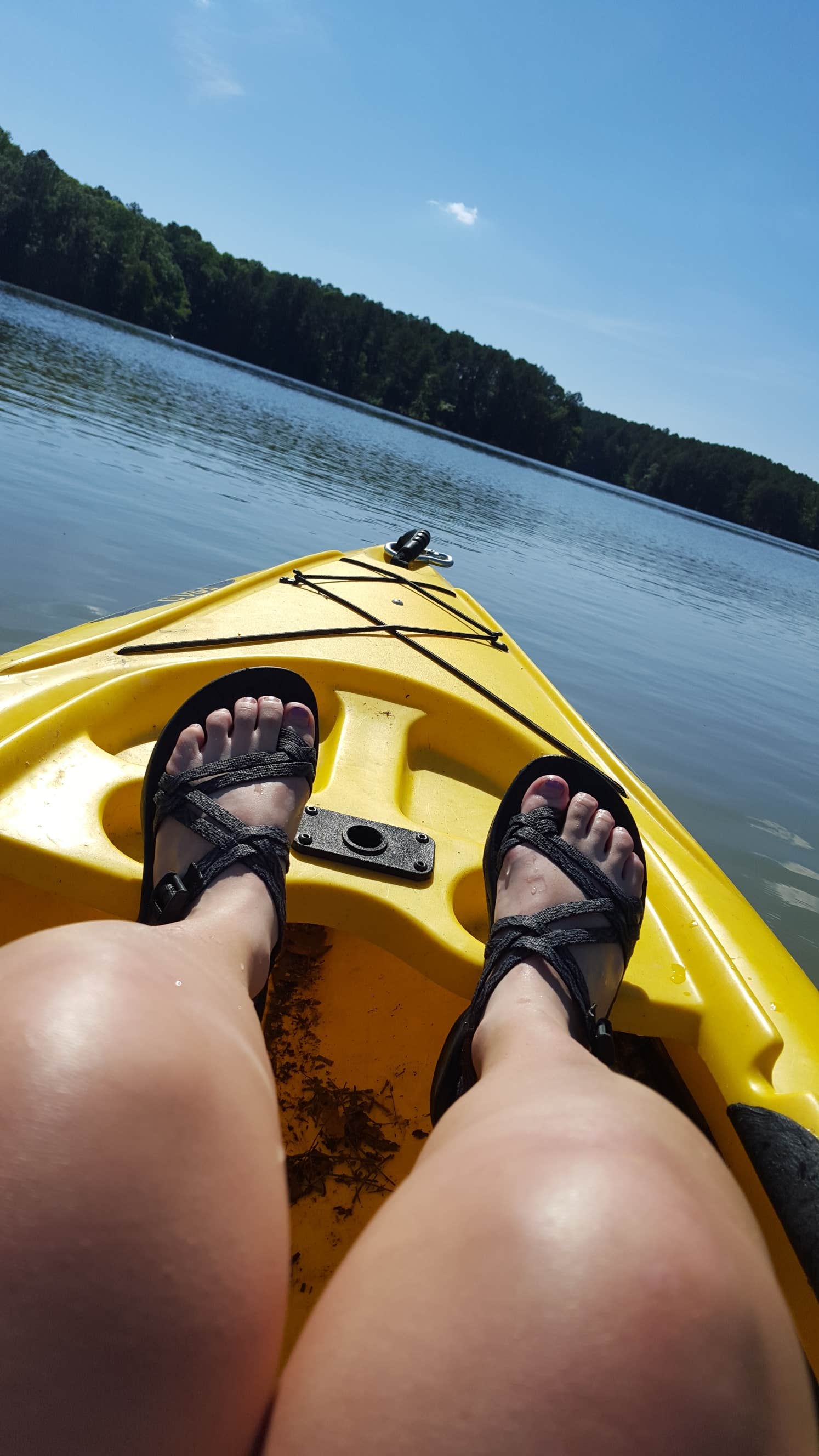 Camper submitted image from Pin Oak Campground — Natchez Trace State Park - 3