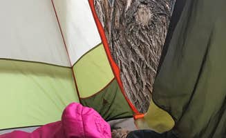 Celina J.'s photo at Lone Duck Campground and Cabins near Midland, CO