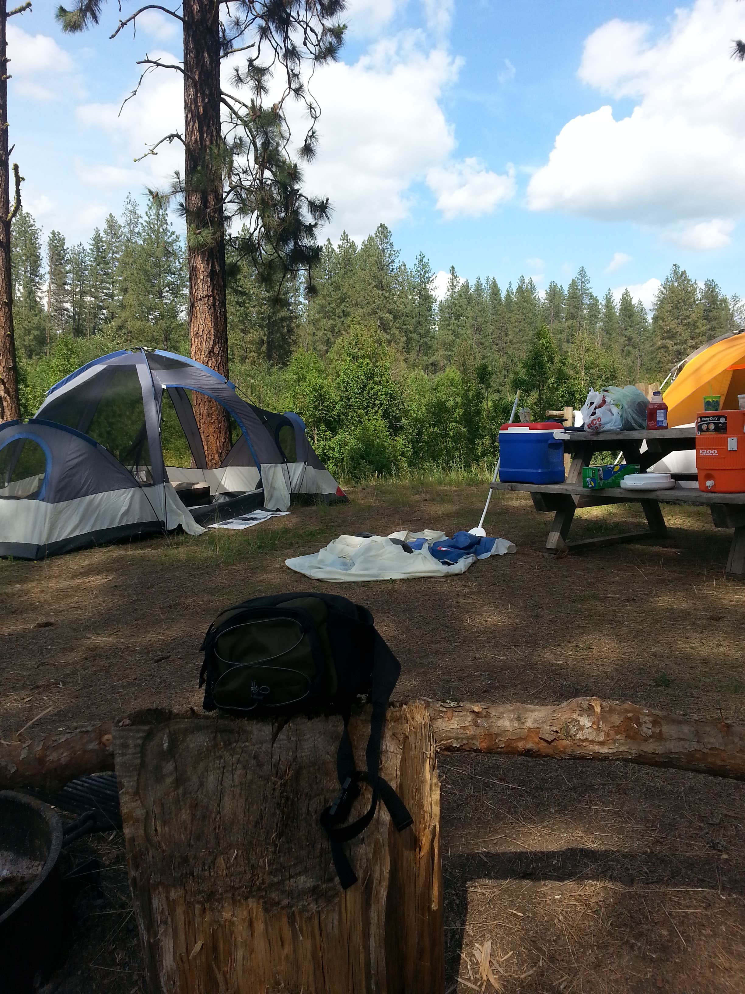 Kebby J.'s photo at Dragoon Creek Campground near Nine Mile Falls, WA