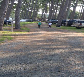 Camper-submitted photo from Yogi Bear's Jellystone Park At Delaware Beaches