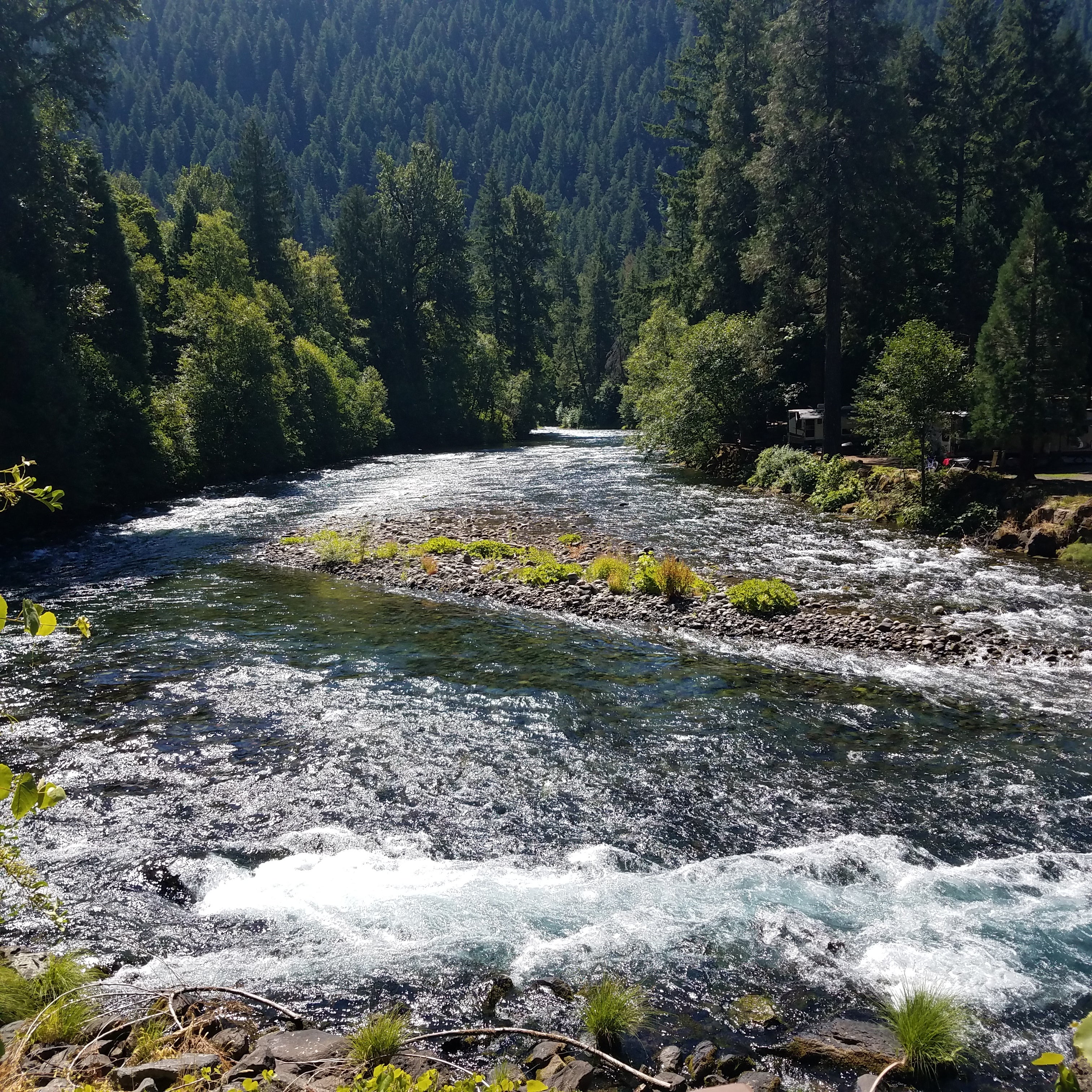 Mckenzie river.  2 steps from the bridge separating the lodge from campsites.
