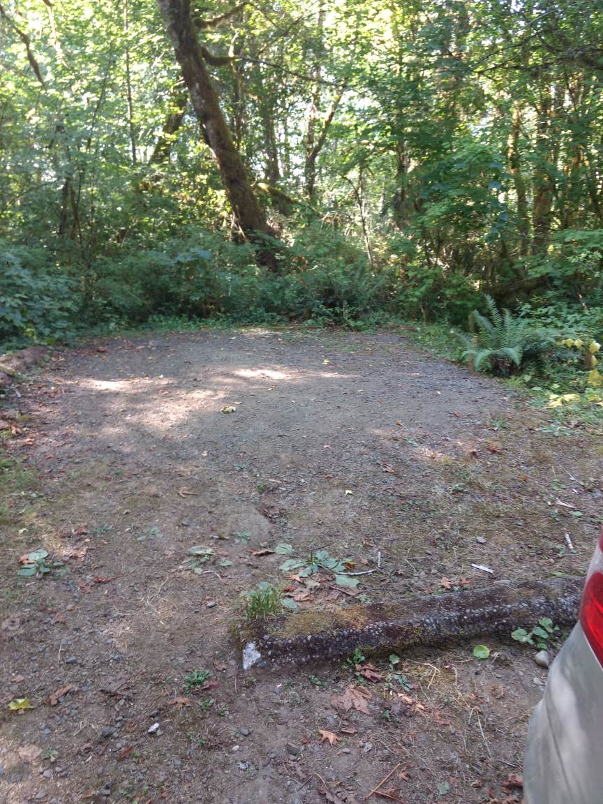 Camper-submitted photo at Schafer State Park Campground near Matlock, WA