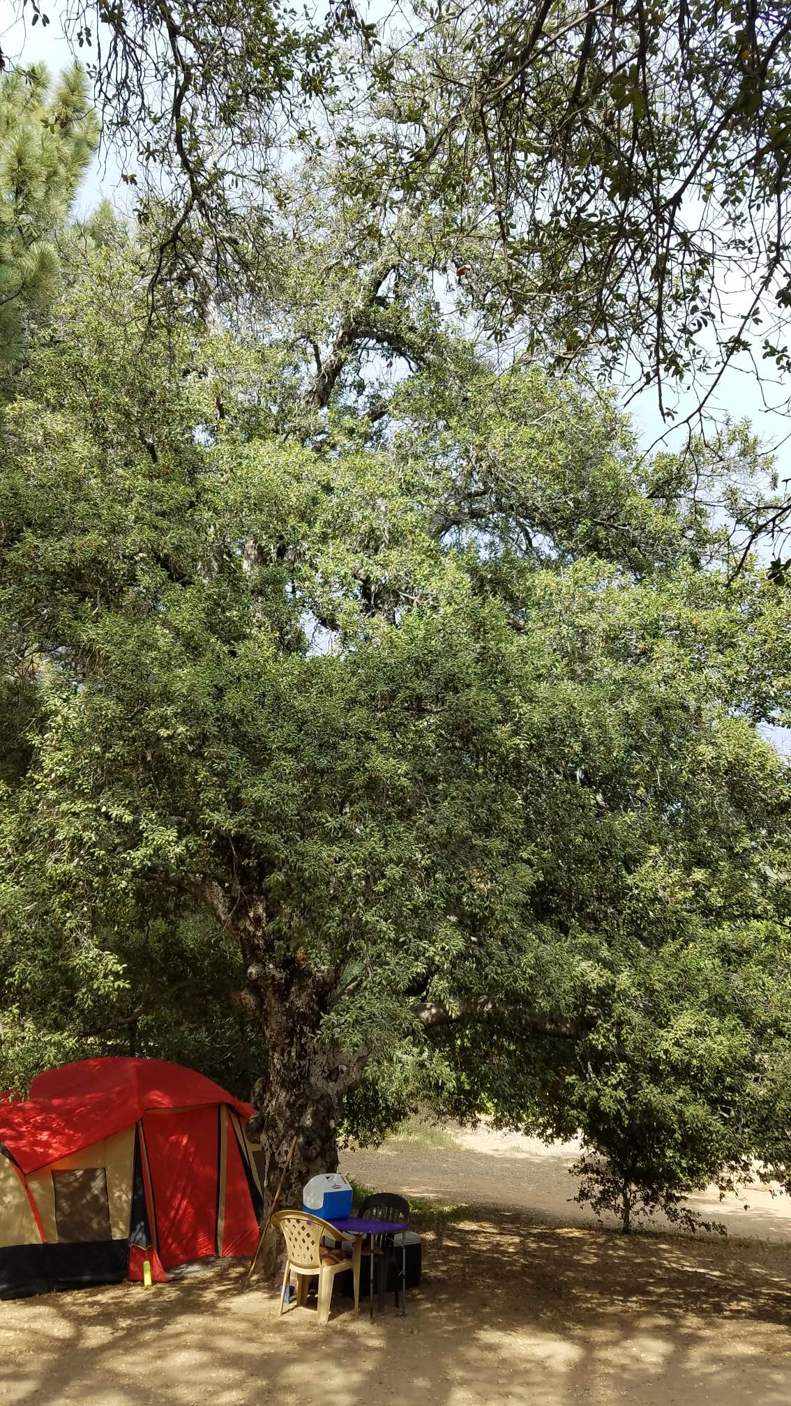 Dawn C.'s photo at William Heise County Park near San Ysidro, CA