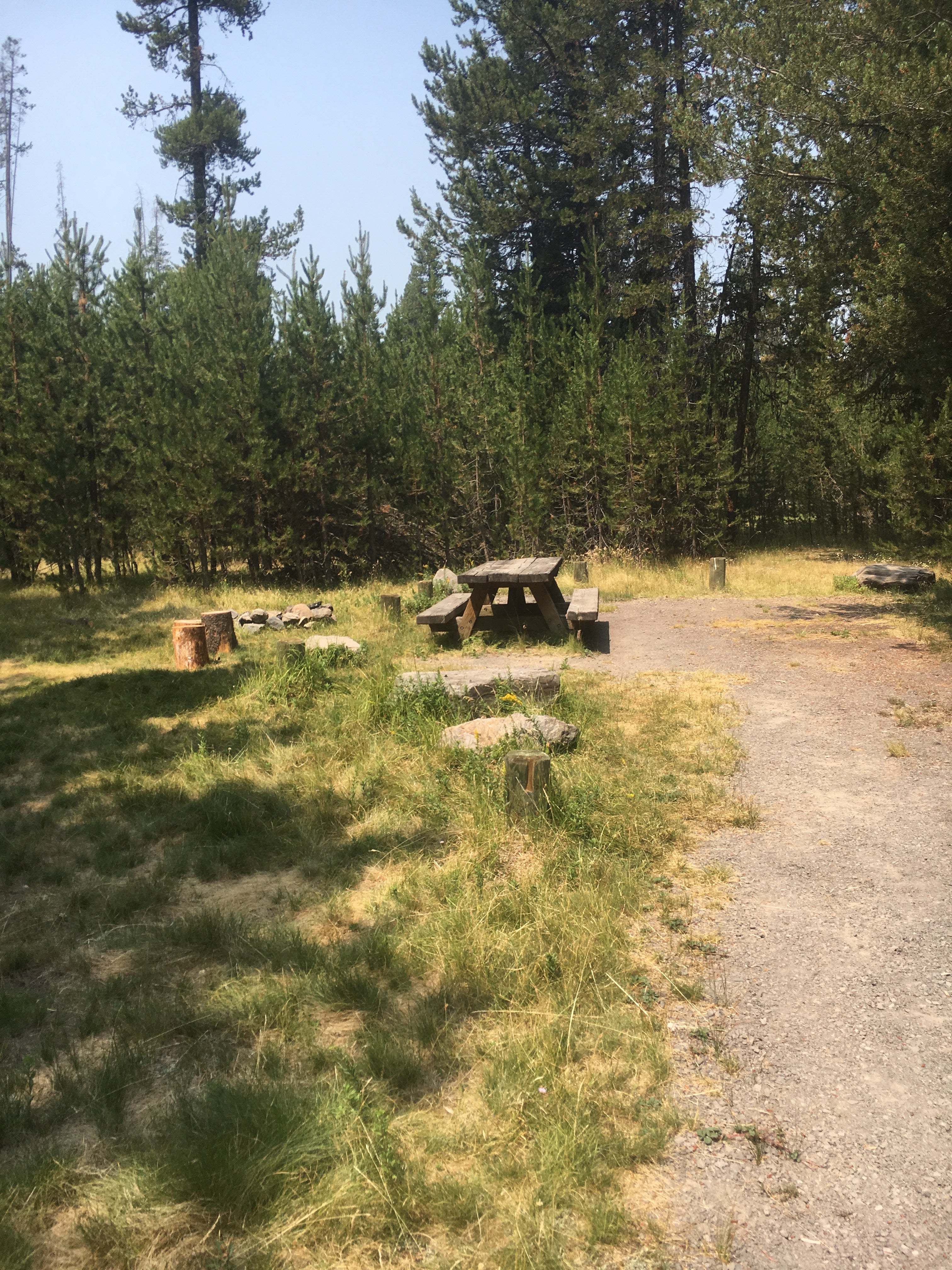 Camper submitted image from Corral Springs Campground - 1