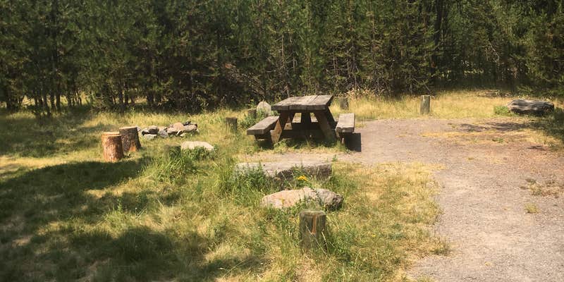 Camper submitted image from Corral Springs Campground