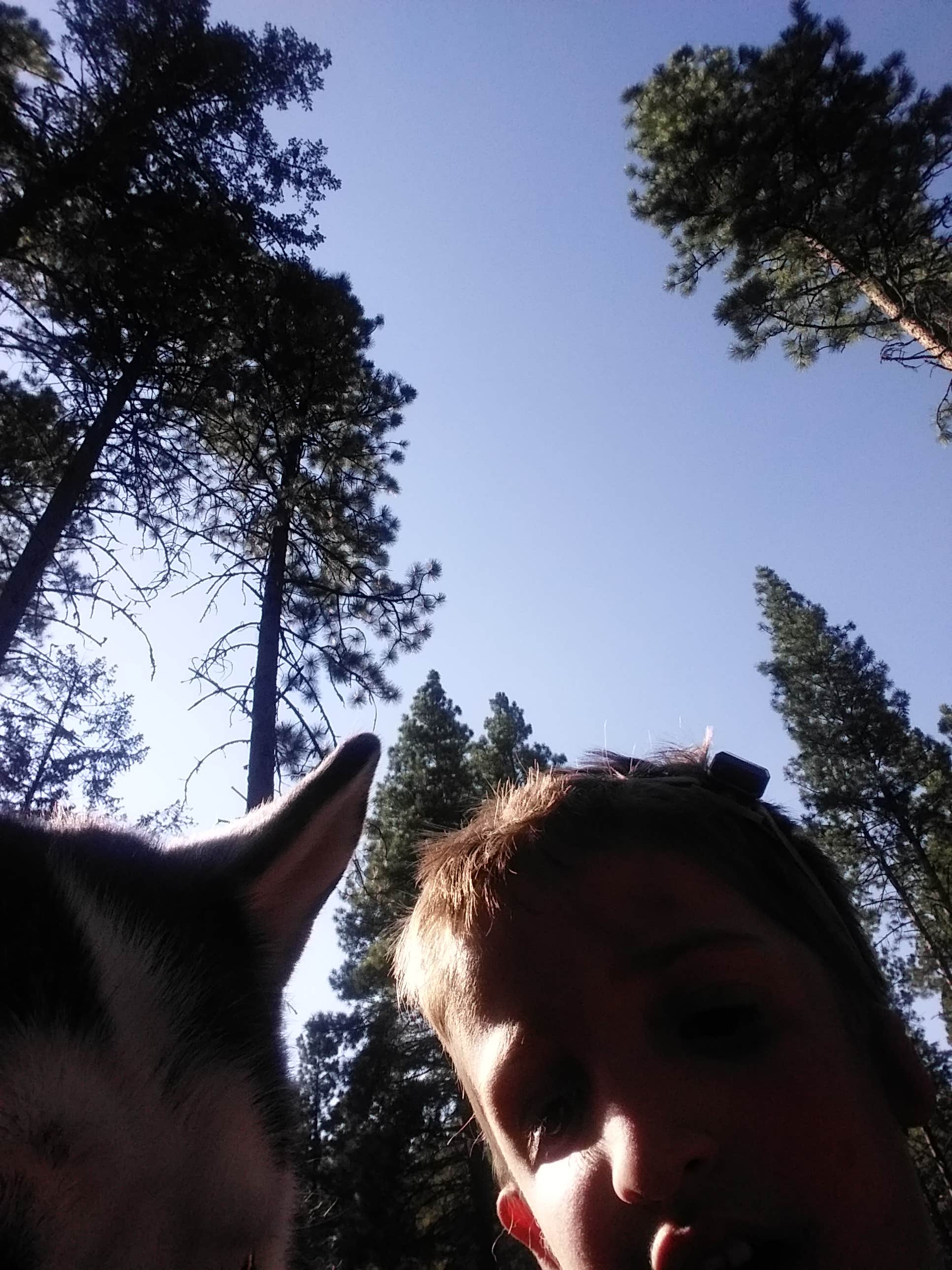 Camper-submitted photo at Lee Creek Campground near Superior, MT