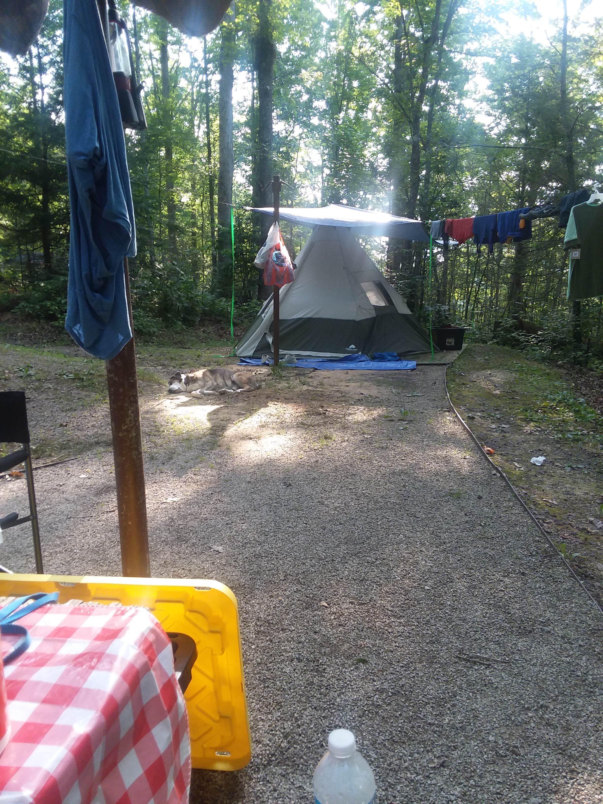 Camper submitted image from Holly Bay - 3