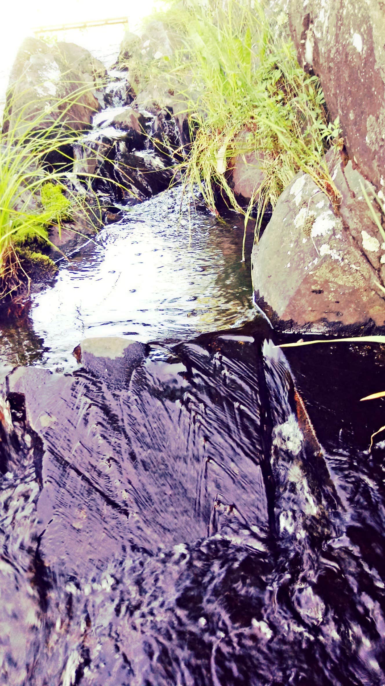 Camper-submitted photo at Popular Side 3 - Lake of the Falls near Mercer, WI
