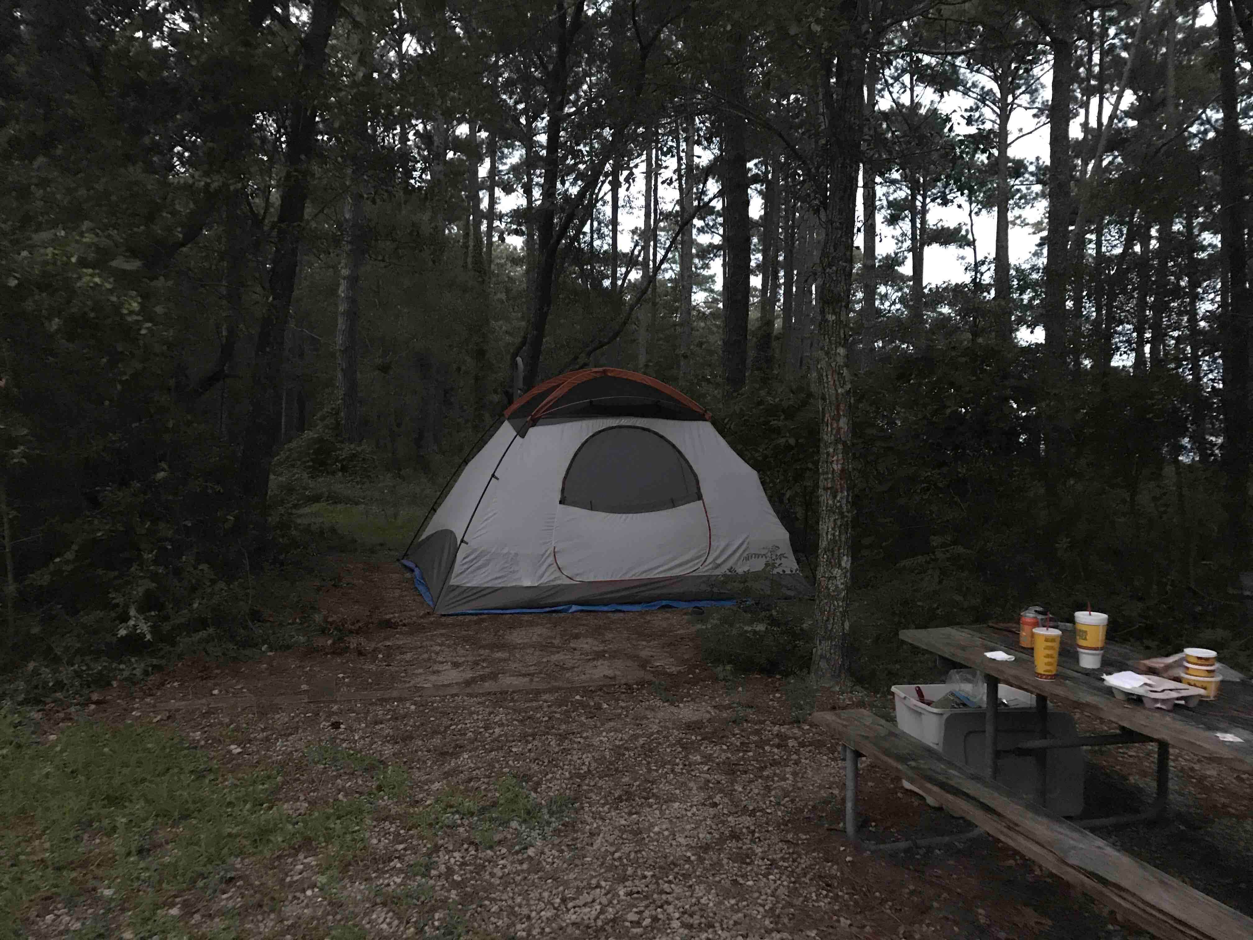 Camper submitted image from Oyster Point Campground - 3