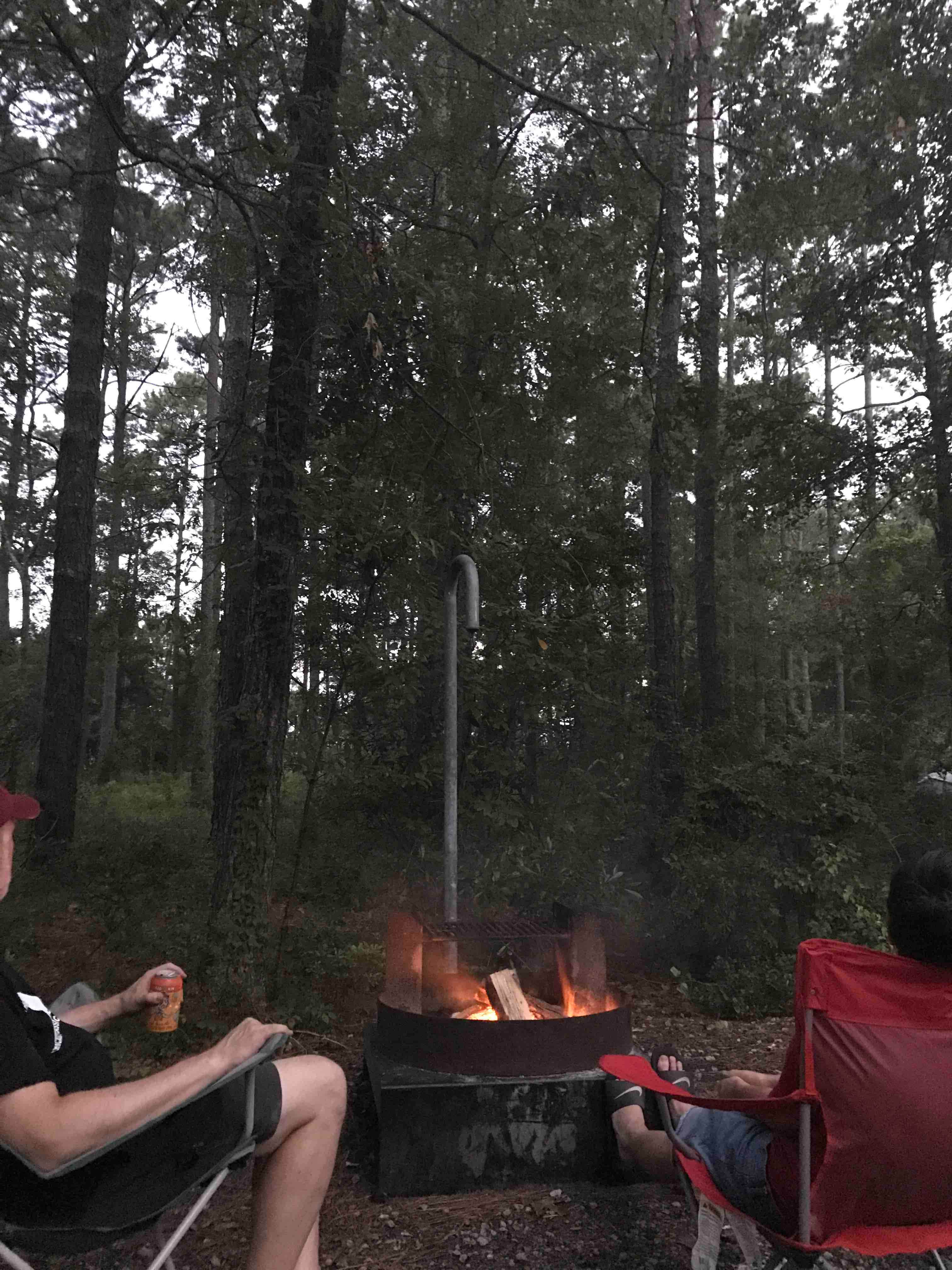 Camper submitted image from Oyster Point Campground - 4