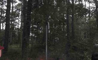 jennifer Z.'s photo at Oyster Point Campground near Beaufort, NC