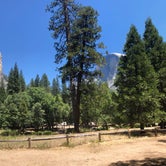 Review photo of Lower Pines Campground — Yosemite National Park by Robyn H., August 11, 2018